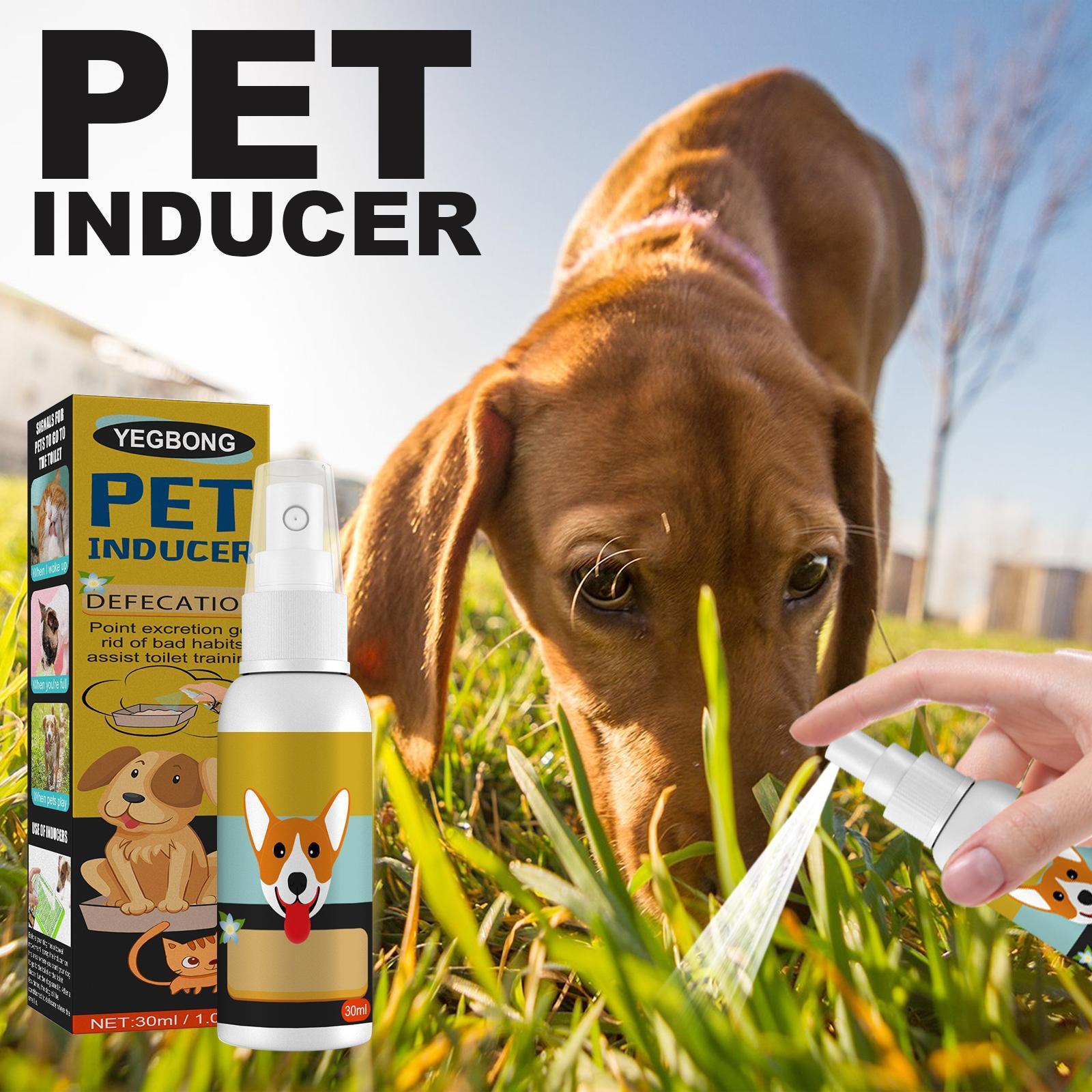 Yegebang Pet Defecation Positioning Spray Pet Feces Positioning Pet Cat And Dog Defecation Inducer - 5 - CJ