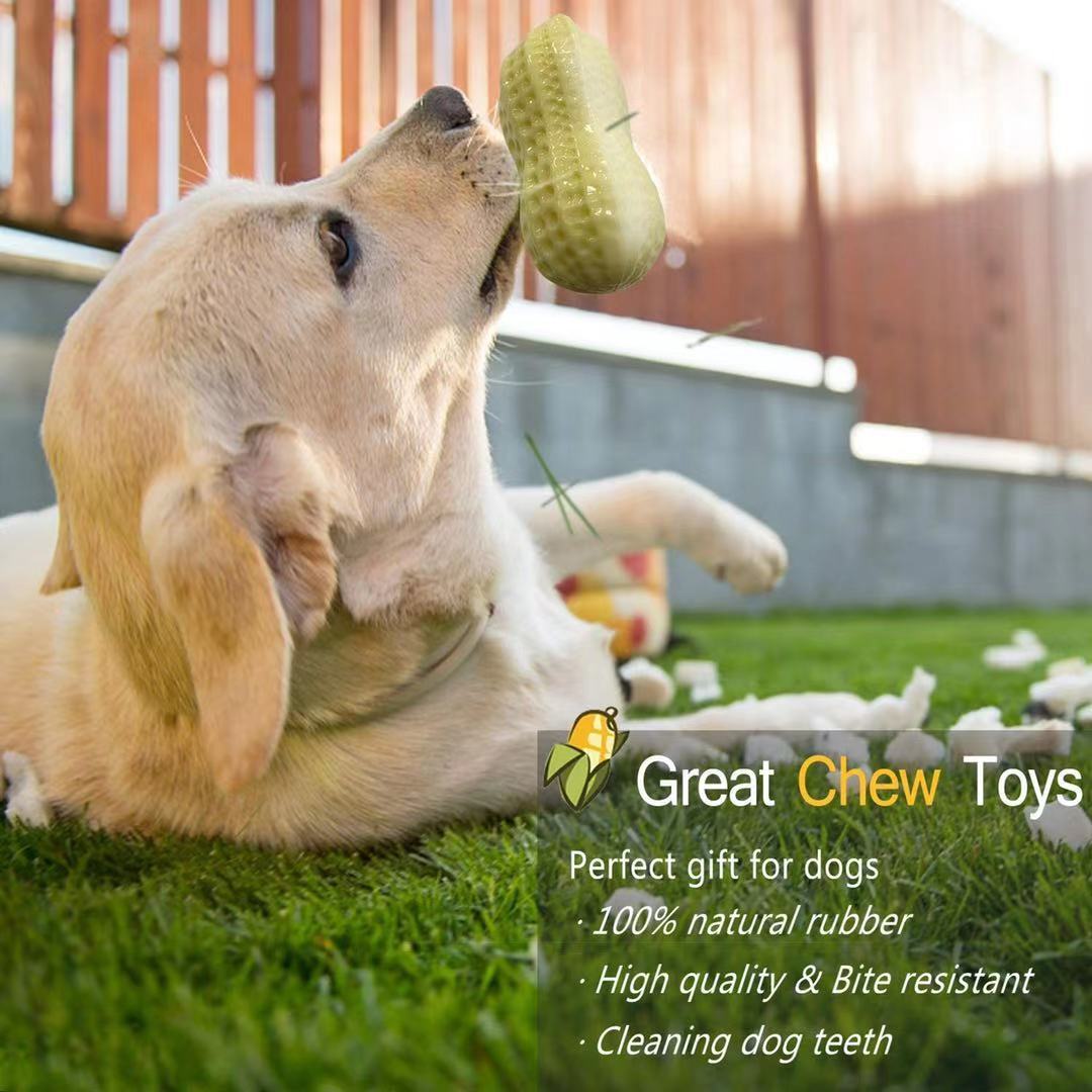 Funny Pet Dog Squeaky Toys For Small Middle Dogs Bite Resistant Puppy Cat Dogs Toys Pets Rubber Peanut Clean Tooth Chew Toy - 5 - CJ
