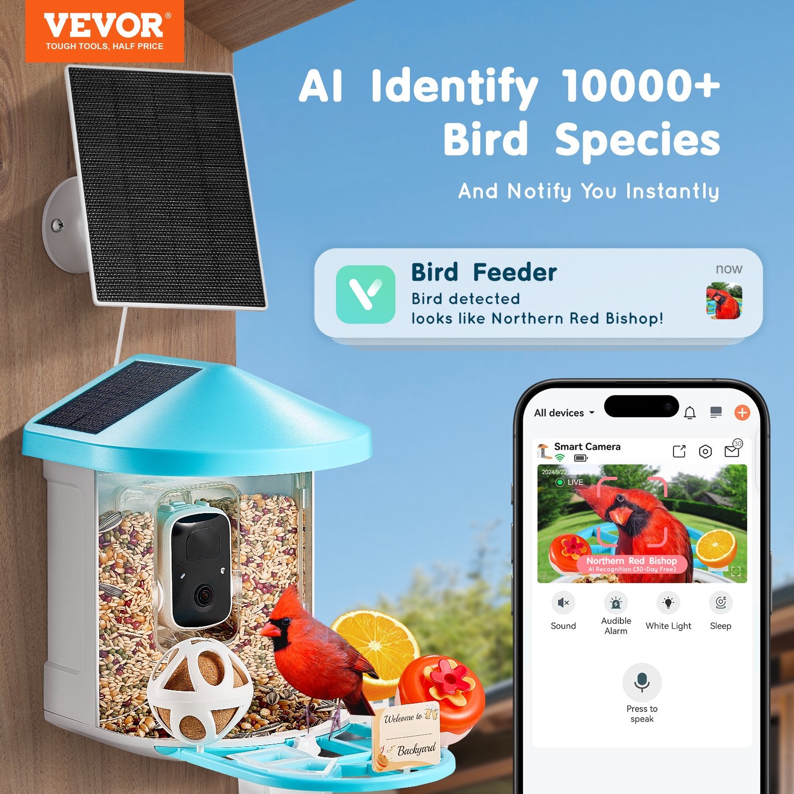 Smart Bird Feeder With Camera AI Identify 10000+ Bird Specie Solar - Powered - 5 - CJ