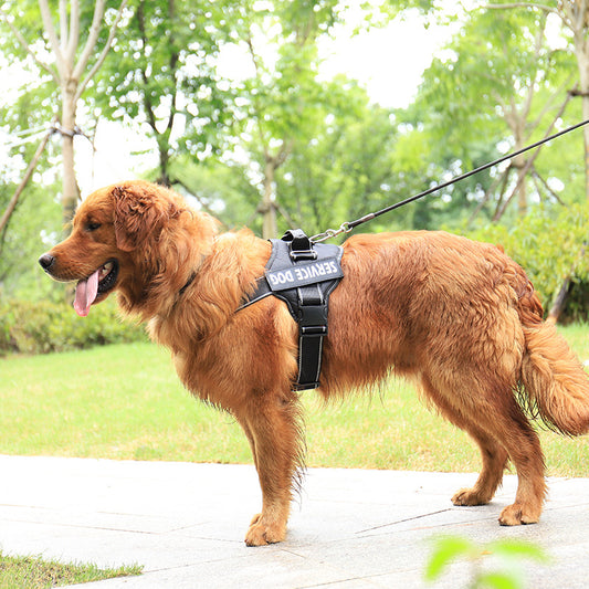 Personalization Of Pet Chest Strap Products - 7 - CJ