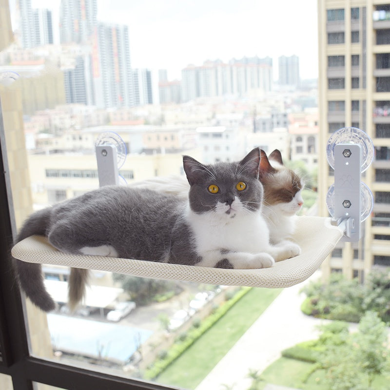 Cat Suction Cup Window Glass Hammock Pet Cat Pets Products - 0 - CJ