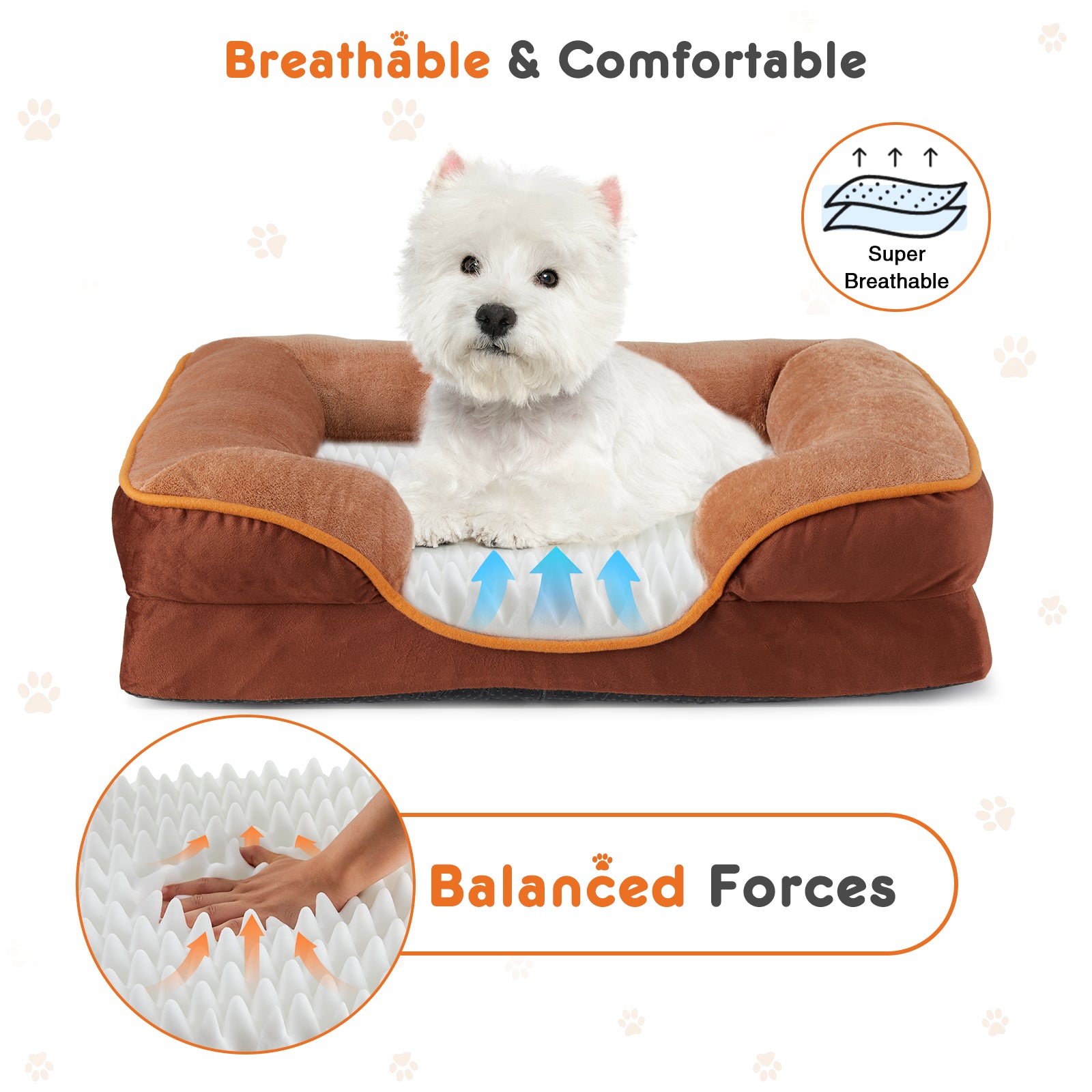 Memory Foam Pet Bed For Small Dogs & Cats With Washable Removable Cover Non - Slip Base Waterproof Liner - 5 - CJ