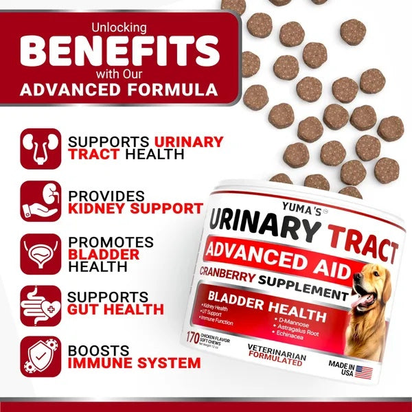 Dog UTI Treatment 170 Treats Cranberry Supplement For Dogs Bladder Control For Dogs - 5 - CJ