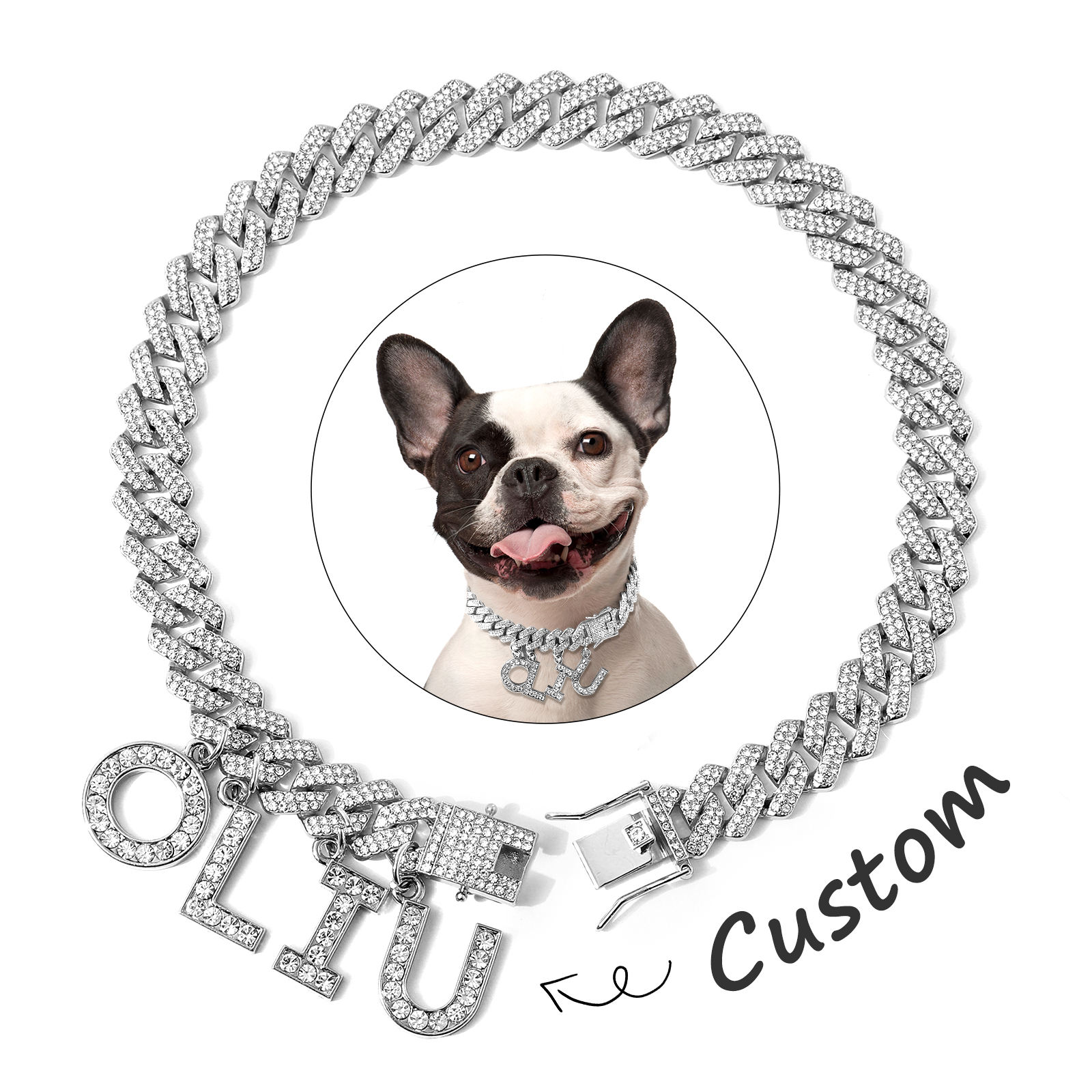 Luxury Alloy Dog Firewood Walking Collar - 5 - CJ