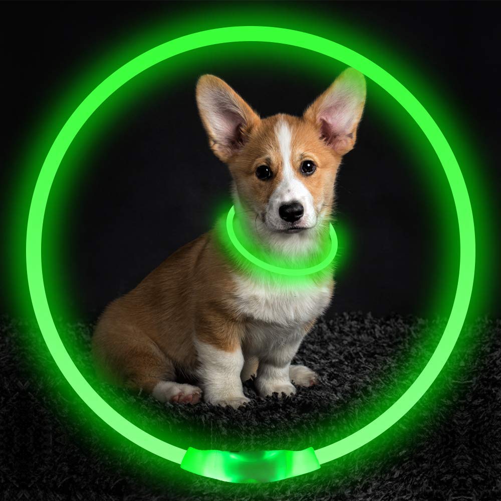 Pet Flashing Collar USB Rechargeable Glowing Necklace Safety Collar Light Up Collars For Night Walking Electric Dog Collar Neon - 0 - CJ