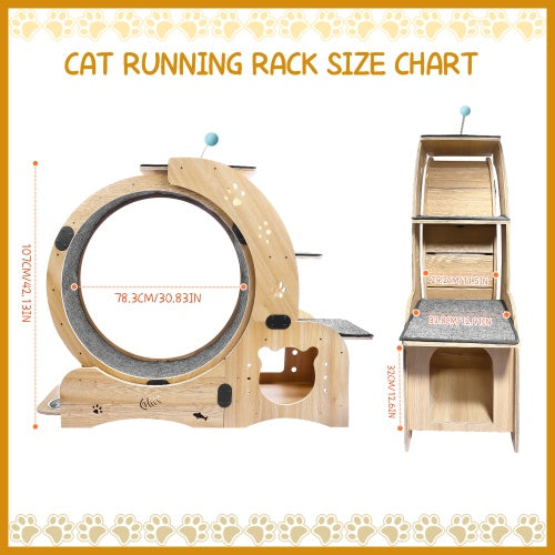 Cat Wheel 6 - in - 1 Cat Fitness Wheel - 5 - CJ