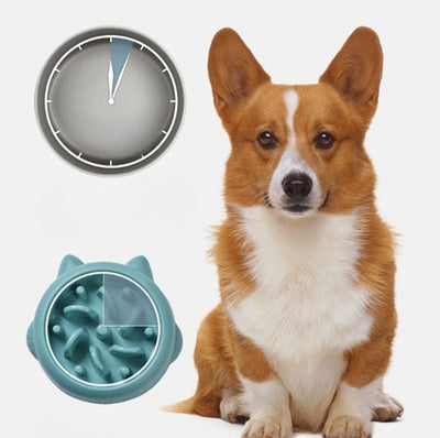 Pet Dog Cat Slow Feeder Bowls Anti Choking Slow Feeder Dish Bowl Home Dog Eating Plate Anti Gulping Bowl Supplies - 0 - CJ