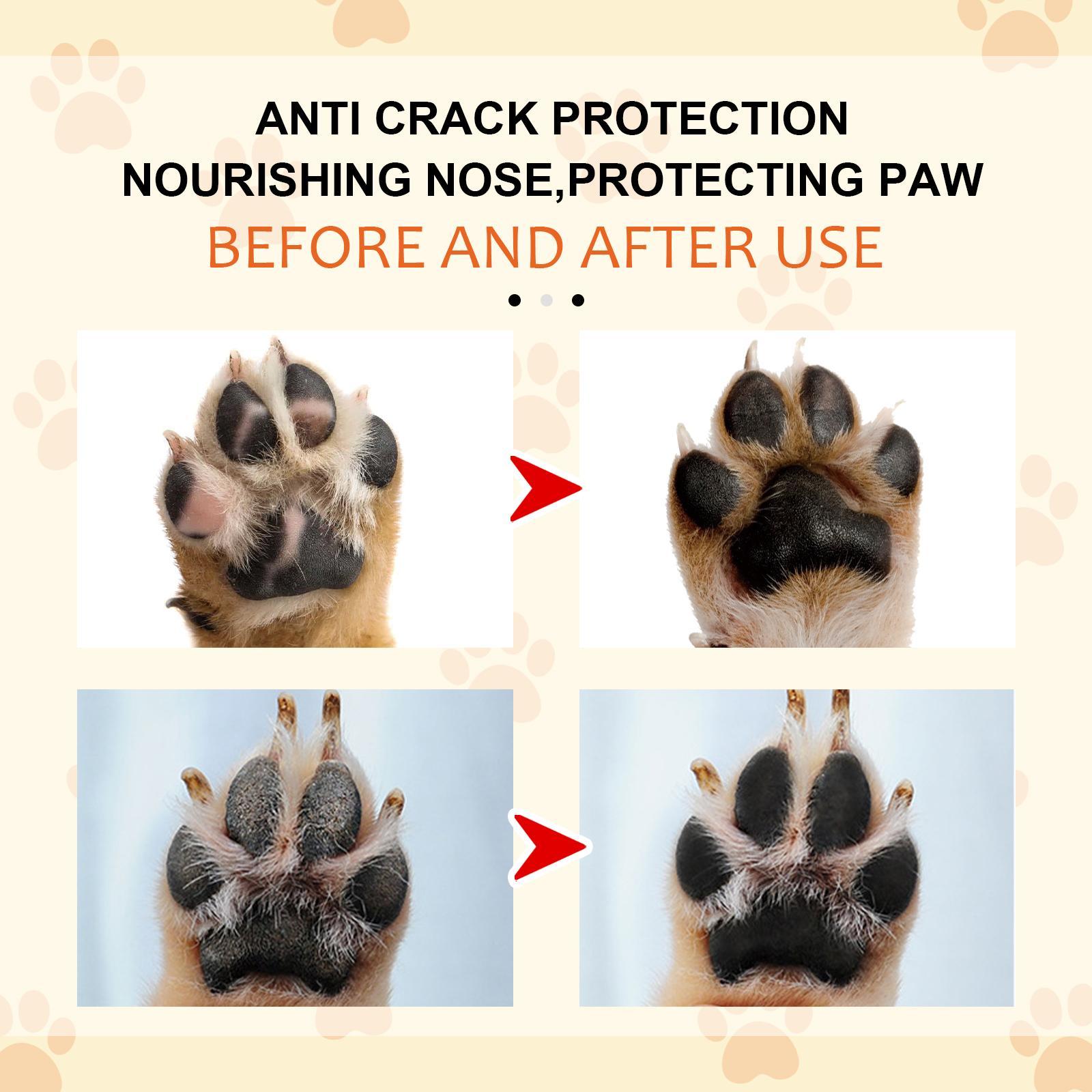 Igbang Pet Moisturizing Paw Cream For Cats And Dogs Universal Moisturizing Paw Pads Dry Crack Care Cream - 5 - CJ