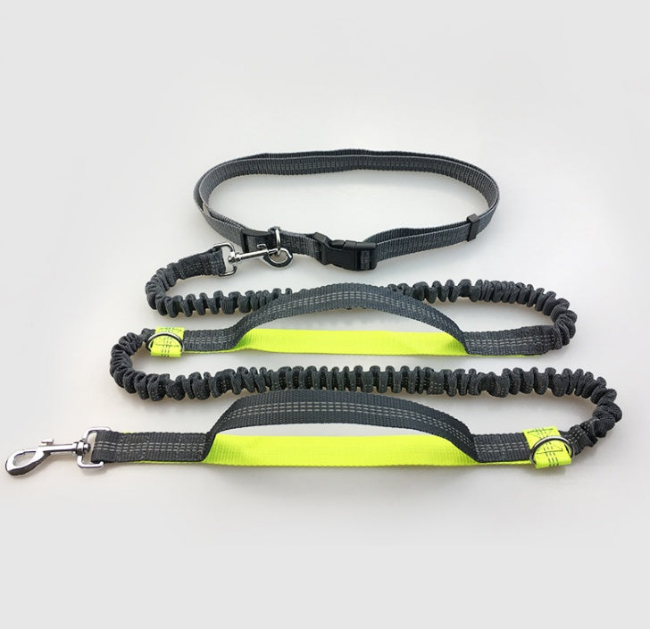 Amazon direct pet supplies multi - function running reflective pull dog leash double elastic dog leash traction - 0 - CJ - Fluorescent green - CJJJCWGX00044 - Fluorescent green