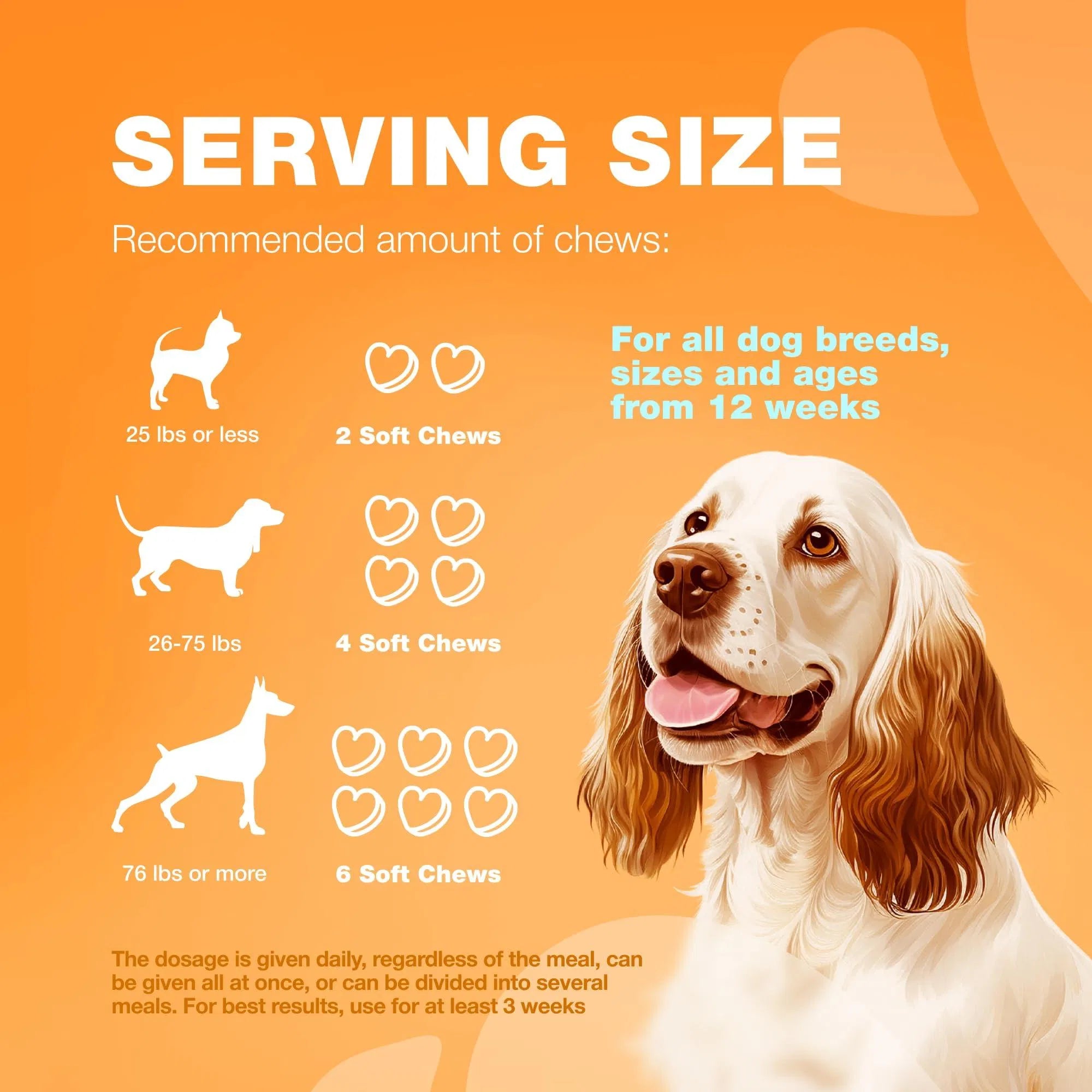 Dog Allergy Relief Chews Itch Relief For Dogs Anti Itch Dog Allergy Chews US Formulated Dog Itching Skin Relief With Salmon Oil Immune Health Seasonal Allergies & Hot Spots Support Treats - 5 - CJ