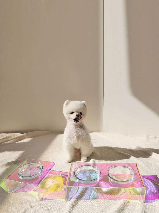 Acrylic Pet Dazzling Bowl Food Basin Small Dog - 0 - CJ