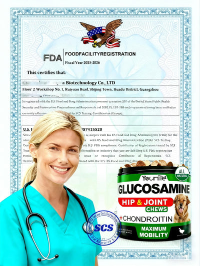 Youmile Hip & Joint Health Supplement For Dogs 120 Chews, Glucosamine Chondroitin MSM Dog Chews With Hyaluronic Acid, Liver Flavored Bone & Joint Support Supplement, For All Breeds - 5 - CJ