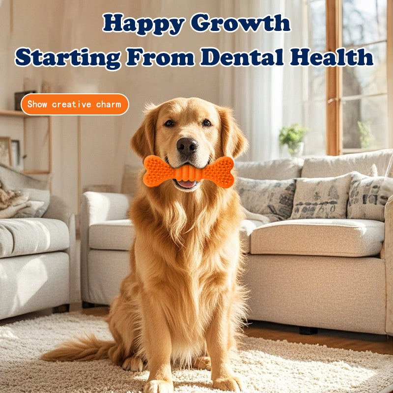 Dog Chew Toys, Dog Toothbrush Care Cleaning Sticks, Dog Toothbrush Chew Toy Sticks For Dog Dental Care - Safe, Teeth Cleaning Chew Bones, For Large, Medium, Small Dog Puppies - Random Colors - 5 - CJ