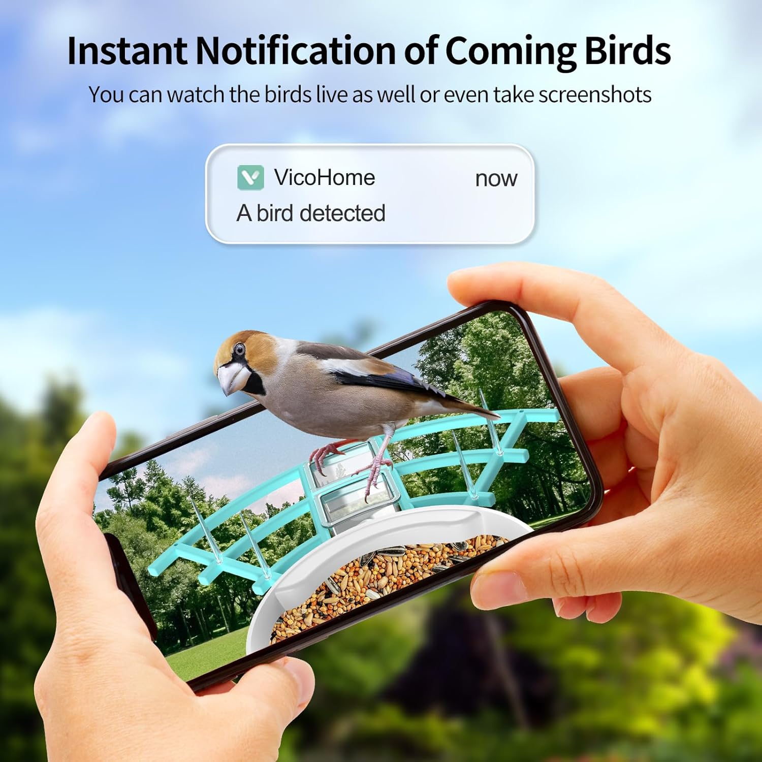 Bird Feeder With Camera, AI Identify Birds Species, Smart Birds Camera With Solar Powered, Auto Record 2K Birds Video In Backyard, Instant Notifications, Ideal Gifts For Family And Bird Lovers by CJ