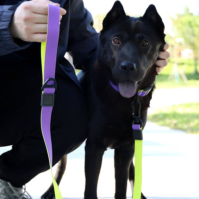 Honeycomb Embossed Dual - Color Pet Leash Set Is Stylish And Fashionable. The Embossed Surface Enhances The Leash's Grip, Preventing Slippage When Held. The Product Is Waterproof, Wear - resistant, Odor - r - 5 - CJ