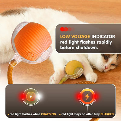 Cat Interactive Ball Toys Automatic Rolling Ball For Kitten Rechargeable Smart Pet Electric Toys With Teaser Sensor Cat Ball Toy - 4 - CJ