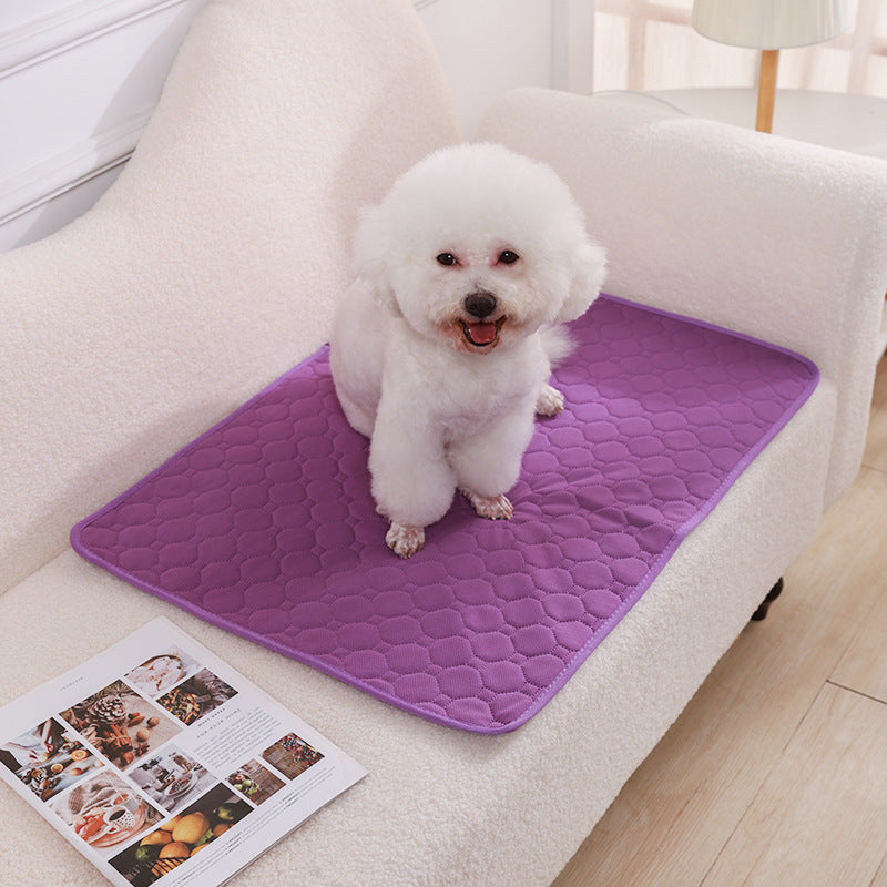 Urinal Pad For Pet Washable Dog Diapers Non - slip Absorbent Easy To Dry - 0 - CJ - Purple - XXS - CJYD227418708HS