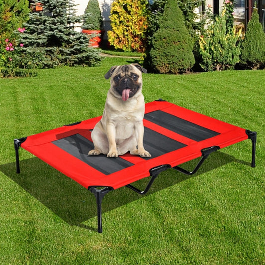 Pet Cages And Beds Will Not Be Provided On Weekends, Amazon Shipping, WalMart Banned From Sale - 5 - CJ