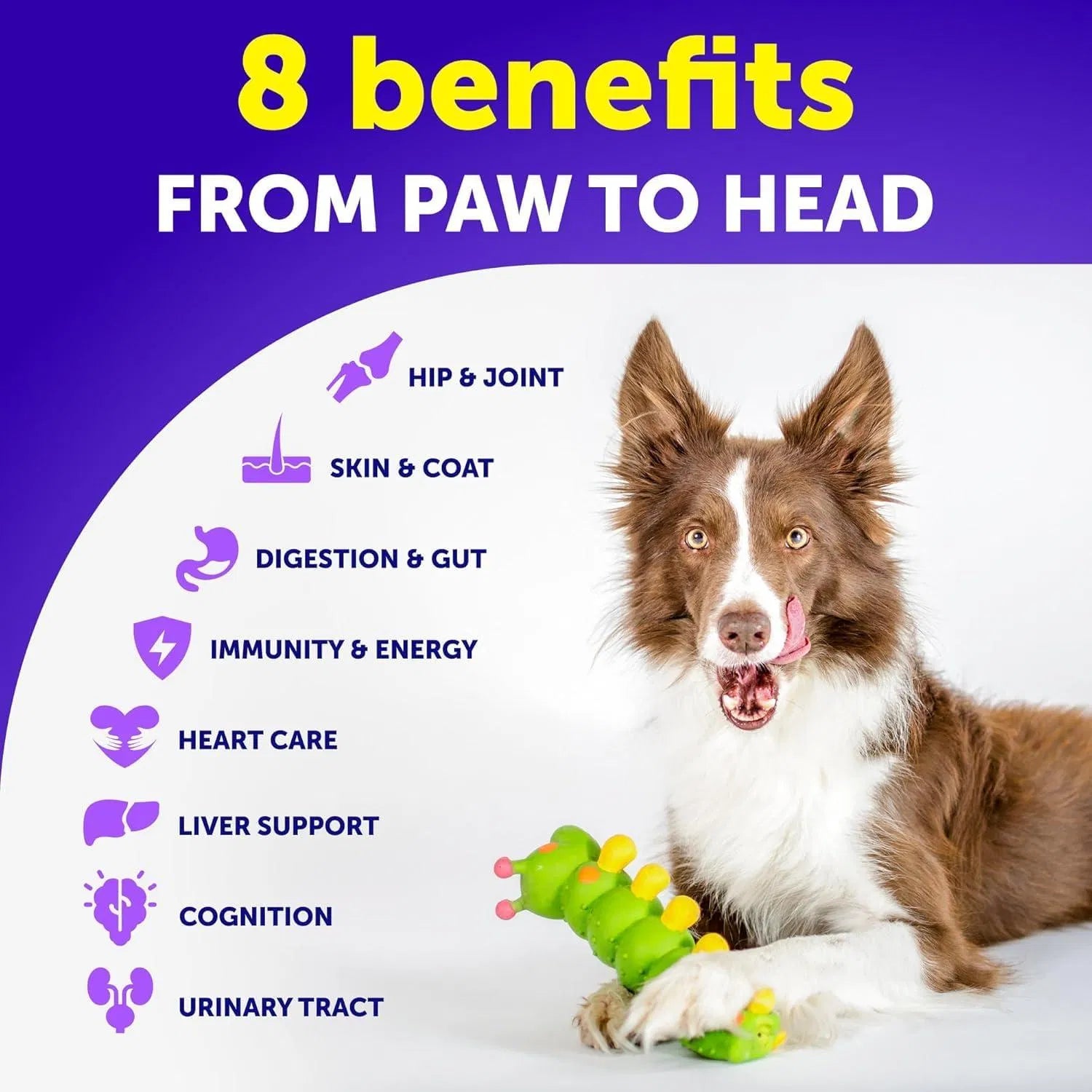 Do Not Sell On Amazon Dog Multivitamin Chewable With Glucosamine 20 In 1 Dog Vitamins And Supplements Senior & Puppy Multivitamin For Dogs Pet Joint Support Health Immunity Mobility Gut Skin 120 Chews - 5 - CJ