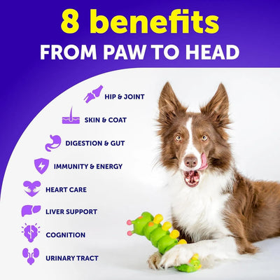 Do Not Sell On Amazon Dog Multivitamin Chewable With Glucosamine 20 In 1 Dog Vitamins And Supplements Senior & Puppy Multivitamin For Dogs Pet Joint Support Health Immunity Mobility Gut Skin 120 Chews - 5 - CJ