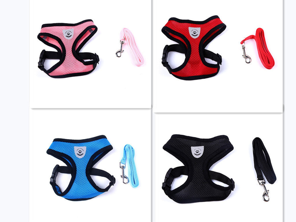 Pet Car Seat Belt Pet Leash - 0 - CJ - Combination - XL - CJJJCWGY00012 - Combination - XL