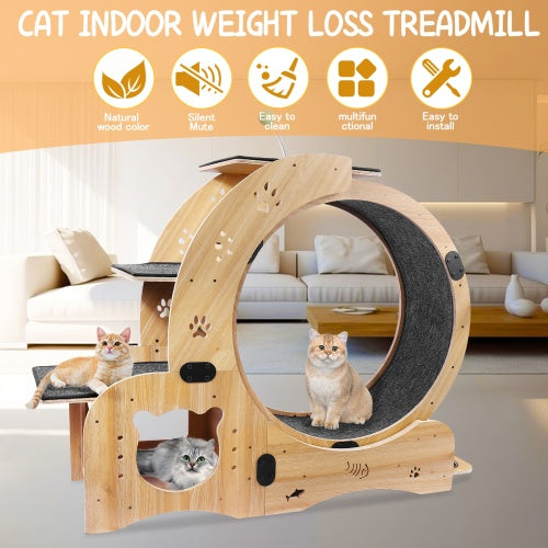 Cat Wheel 6 - in - 1 Cat Fitness Wheel - 5 - CJ