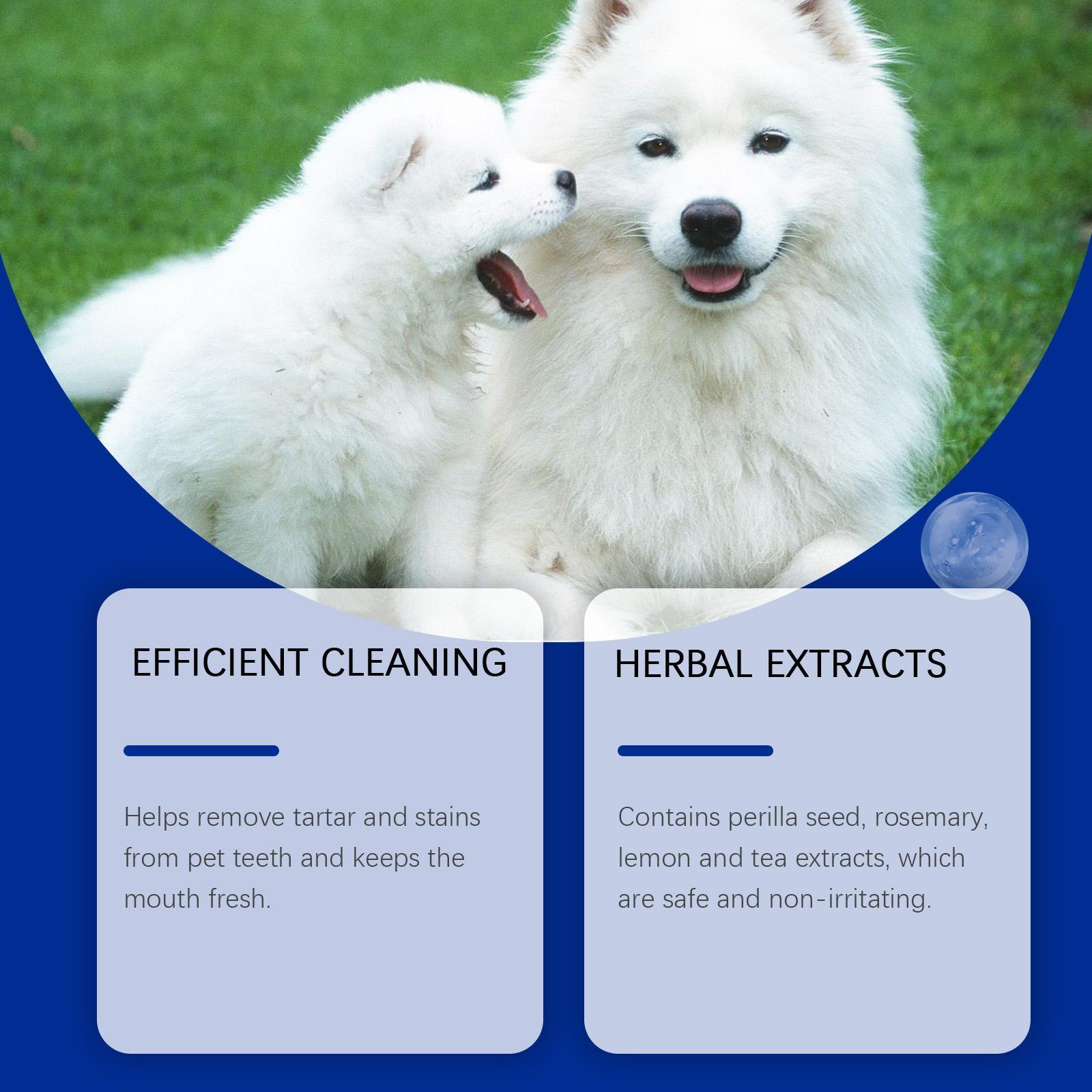 Yeagerbong Dog Tooth Cleaning Powder Gently Cleans Tartar Stains And Freshens Breath - 5 - CJ