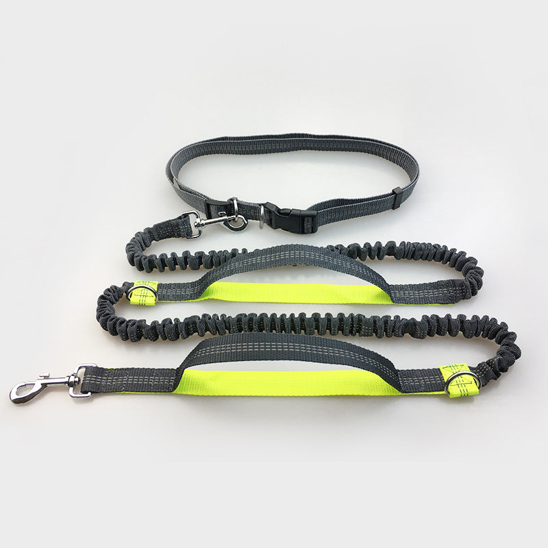 Amazon direct pet supplies multi - function running reflective pull dog leash double elastic dog leash traction - 0 - CJ