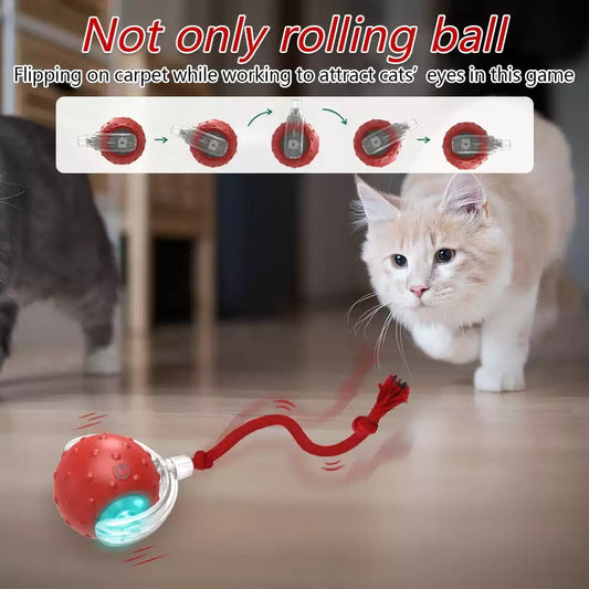 Interactive Cat Toy Ball Super Drive Cat Rolling Balls With - 0 - CJ