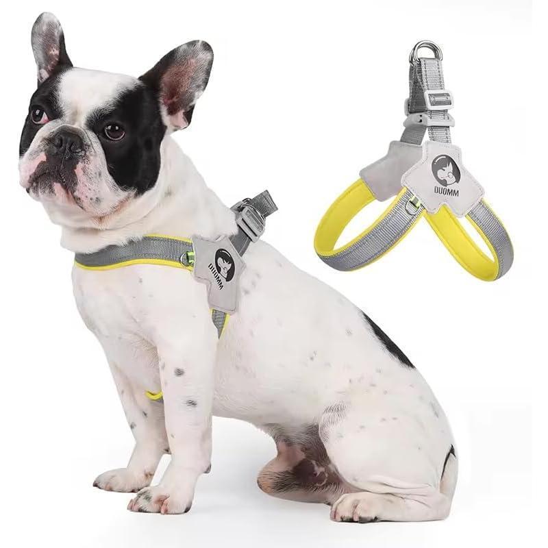 Pet Dog Cat Harness, Pet Harness With LeashSet, Adjustable Puppy Harness ComfortableReflective Easy Control Dog With Leather Leash,.No - Pull No Choke Pet Harness For TrainingWalking - 5 - CJ