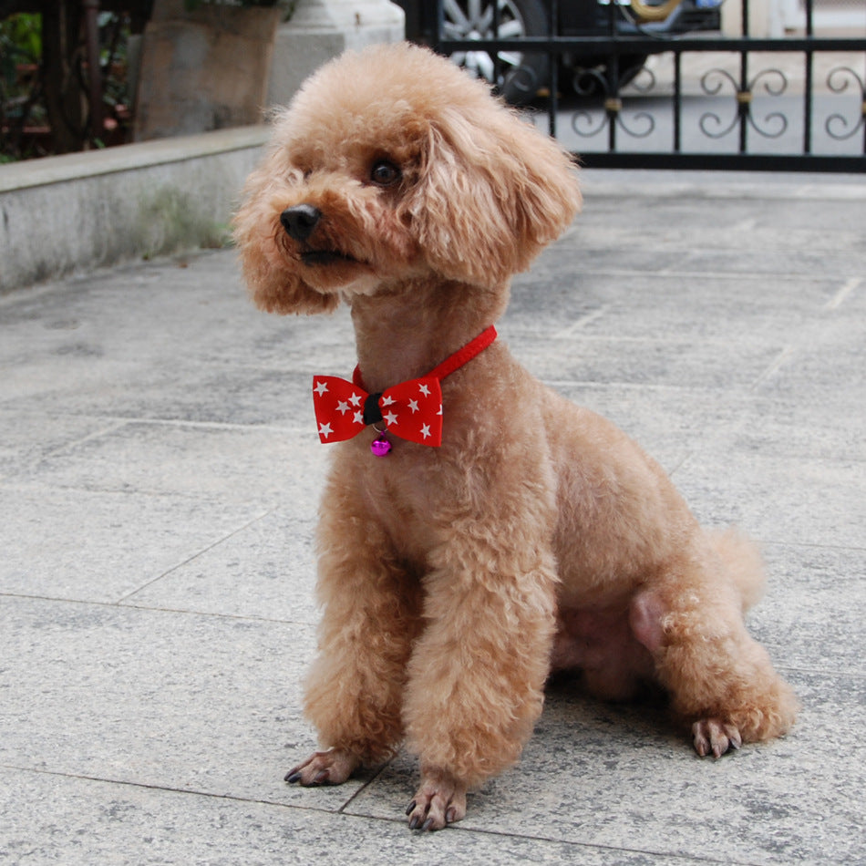 Pet accessories pet bow - 0 - CJ