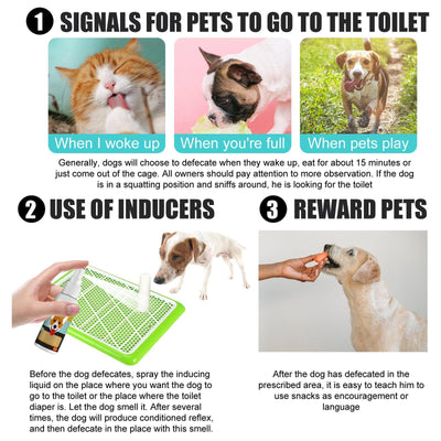 Yegebang Pet Defecation Positioning Spray Pet Feces Positioning Pet Cat And Dog Defecation Inducer - 5 - CJ