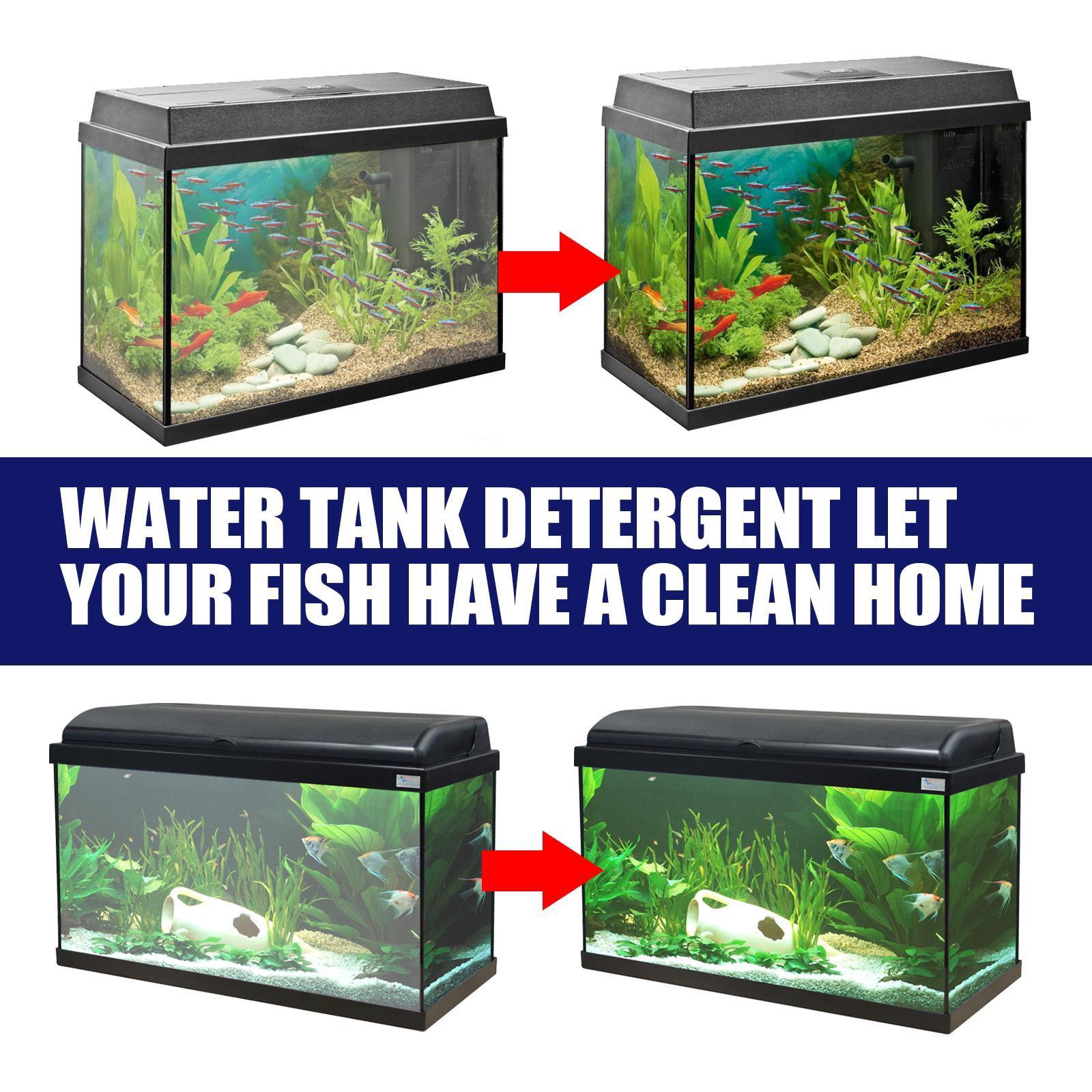 Igbondigal Lichen Fish Tank Cleaning Supplies Algaecide To Remove Moss And Green Water Algae - 5 - CJ
