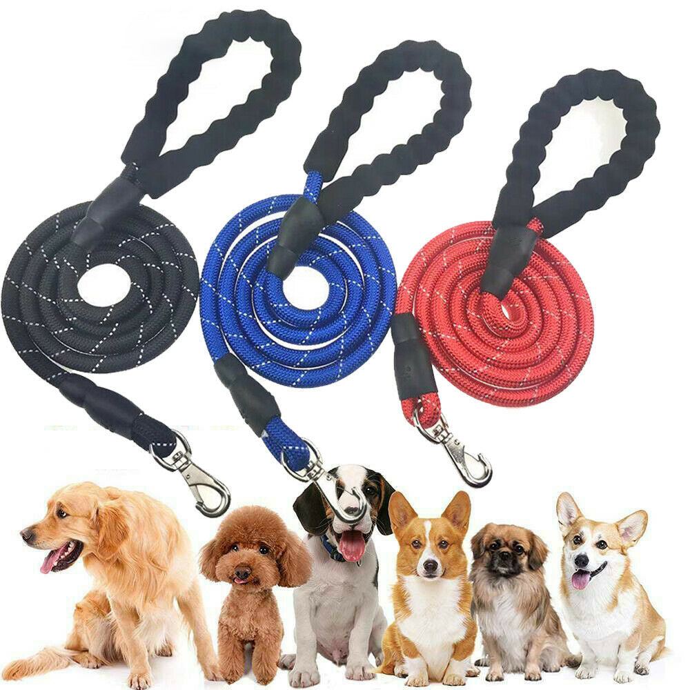 Dogs Leash Running Elasticity Hand Freely Pet Products Dogs Harness Collar Jogging Lead And Adjustable Waist Rope Puppy Leash Lead Training Padded Handle Reflective - 5 - CJ