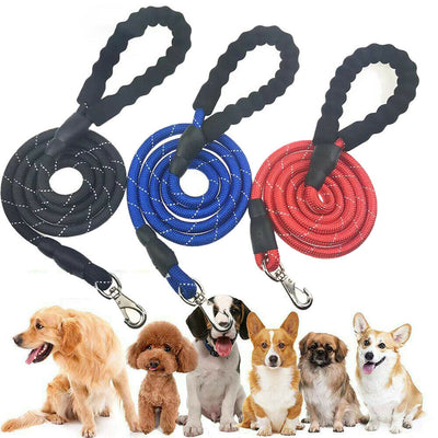 Dogs Leash Running Elasticity Hand Freely Pet Products Dogs Harness Collar Jogging Lead And Adjustable Waist Rope Puppy Leash Lead Training Padded Handle Reflective - 5 - CJ