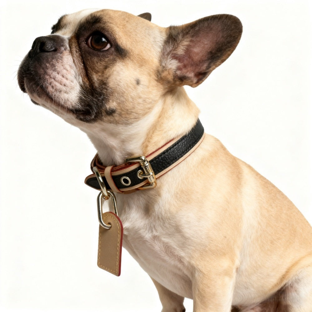 Cute Pet Outfit Japanese And Korean - Style Pet Collars - 0 - CJ