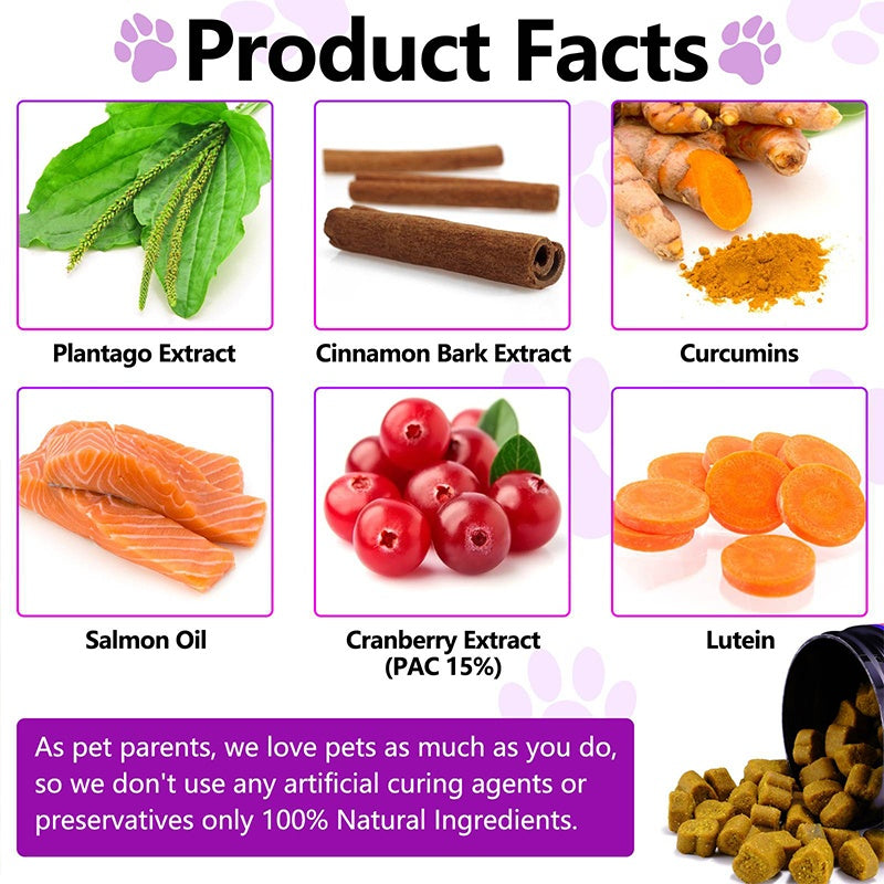 OEM Hot Sales Probiotics Chews For Pets Customized Shape For Digestive Health Pets Supplement Healthy Gut For Dogs - 5 - CJ