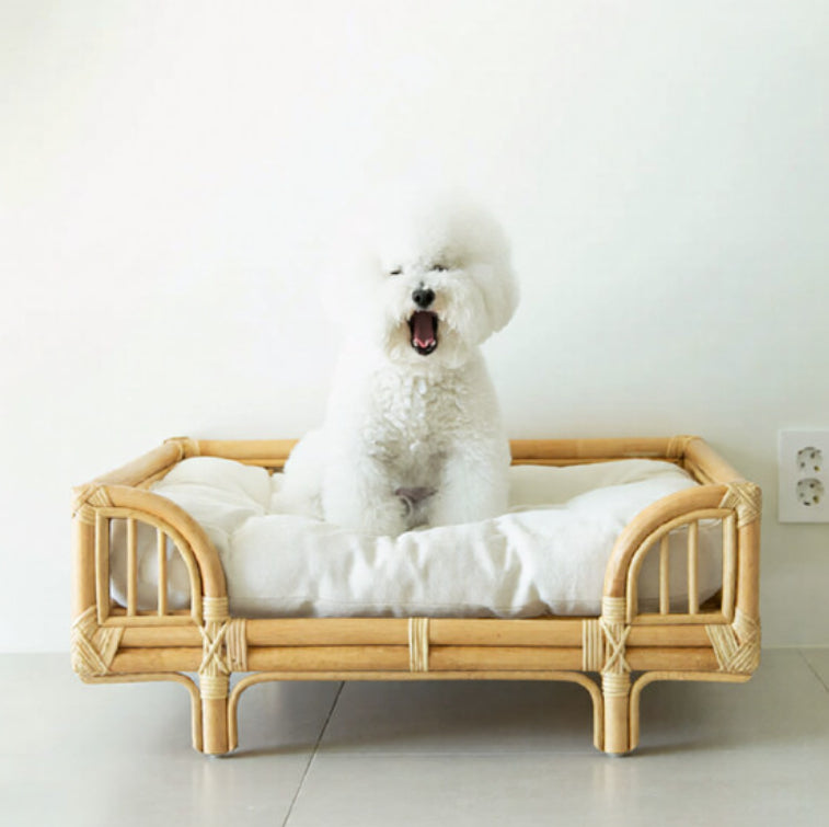 Natural Rattan Square Dog Bed Minimalist Handmade Pet Bed - 0 - CJ