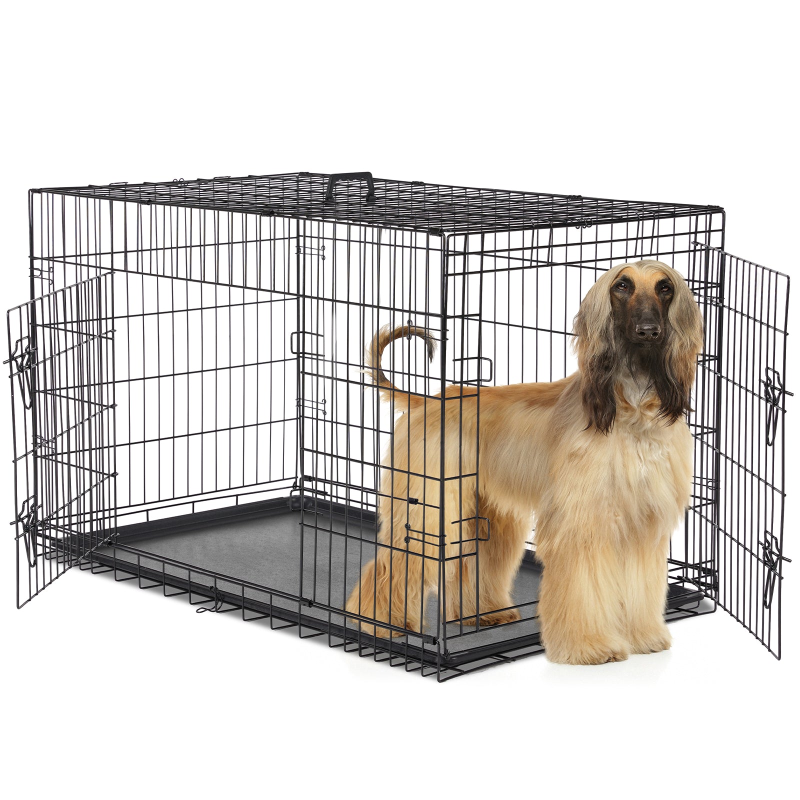 A Dog Cage With Two Doors - 5 - CJ