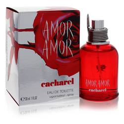 Amor Amor