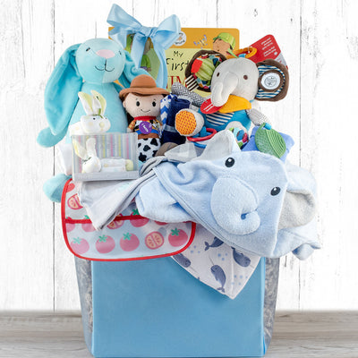 Congratulations: Baby Boy Gift Basket - GreatArrivals