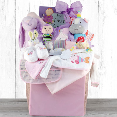 Congratulations: Baby Girl Gift Basket - GreatArrivals