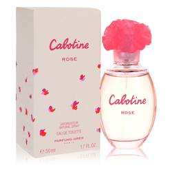 Cabotine Rose