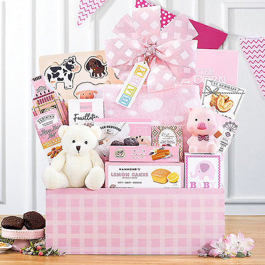 Hello Baby: Baby Girl Gift Basket - GreatArrivals