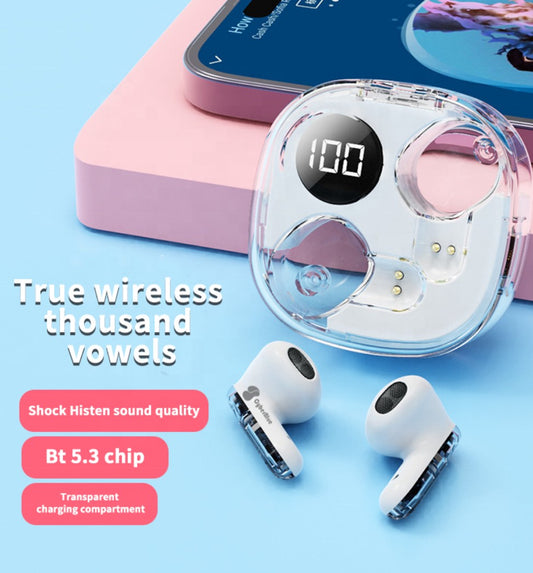 Digital 5.3 Apro 138 Transparent Earbuds - 5 - CJ
