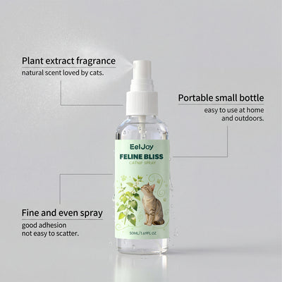 Long - lasting Fragrance Fun And Interactive Cat Spray For Pets. - 0 - CJ