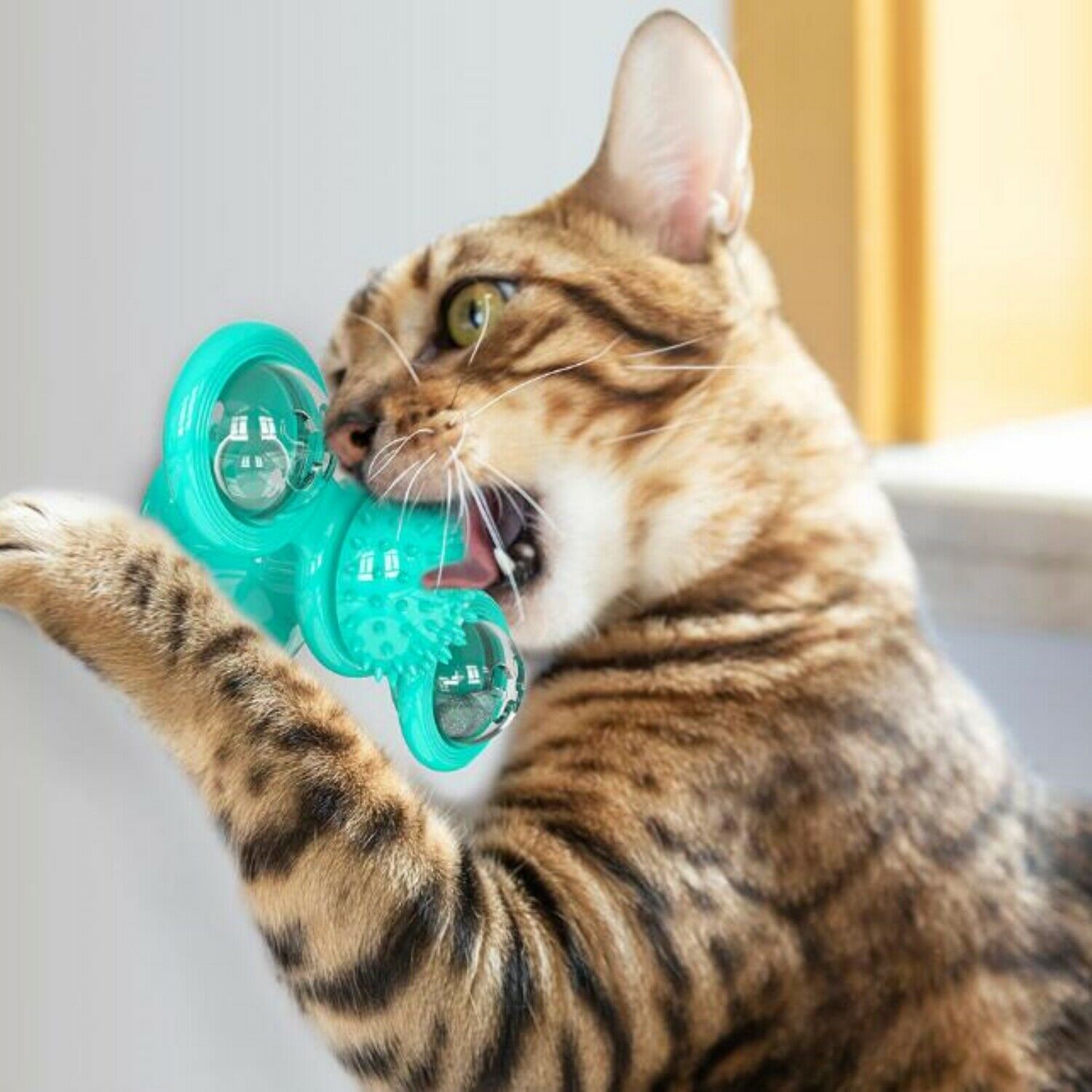 New Windmill Cat Toys Cute Rotating Interactive Cat Toy - Indoor Windmill Cat Toy With Suction Cup Catnip & Jagged Teeth Middle Ball, Smart Kitten Rotating Spinner Exercise Toy, Toothbrush & Massager - 5 - CJ