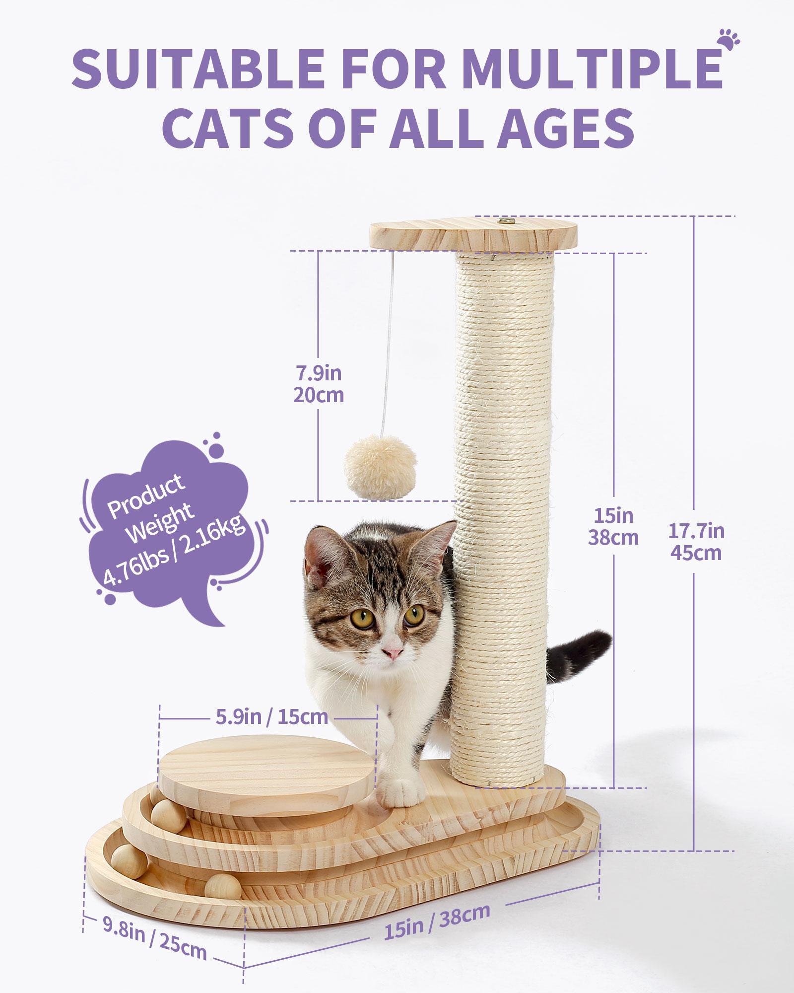 Indoor Cat Soft Scratching Board And Interactive Ball Track Toy Cat Rest And Grooming Supplies - 5 - cjdroshippping