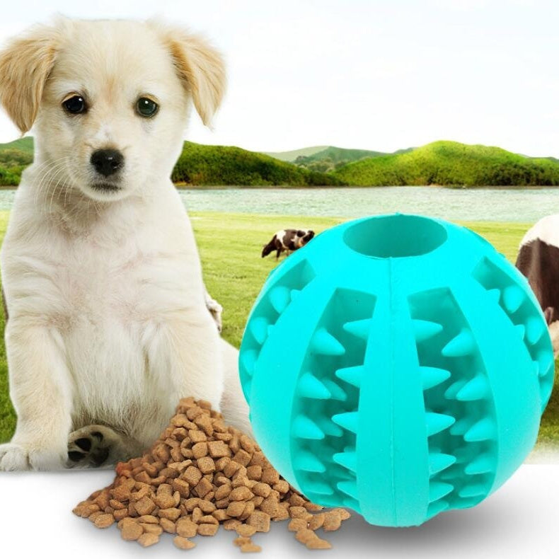 Pet Slow Feeder Dog Toy Cute Funny Rubber Dog Ball Toy - 0 - CJ