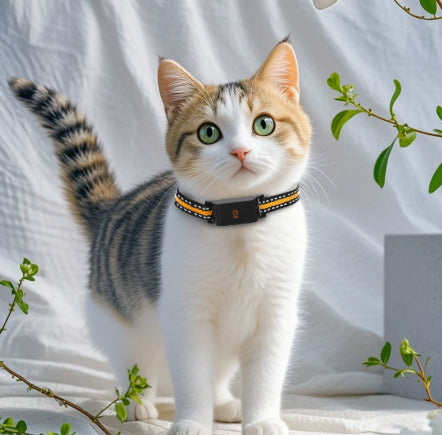 Pet Global Positioning Collar - 0 - CJ